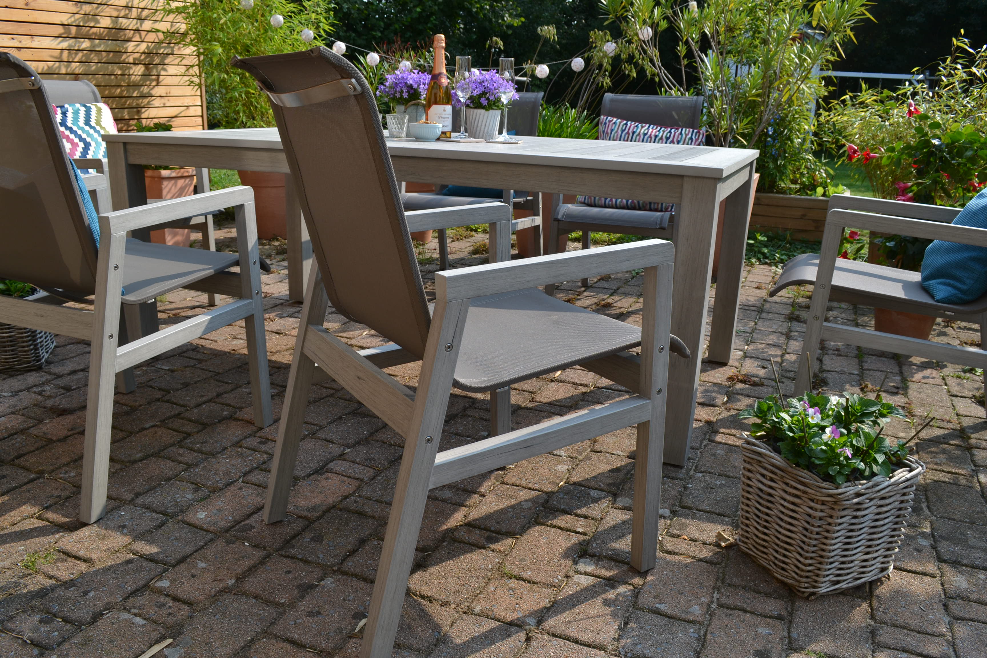 DSC_0433xH04GgNi1U8Ax