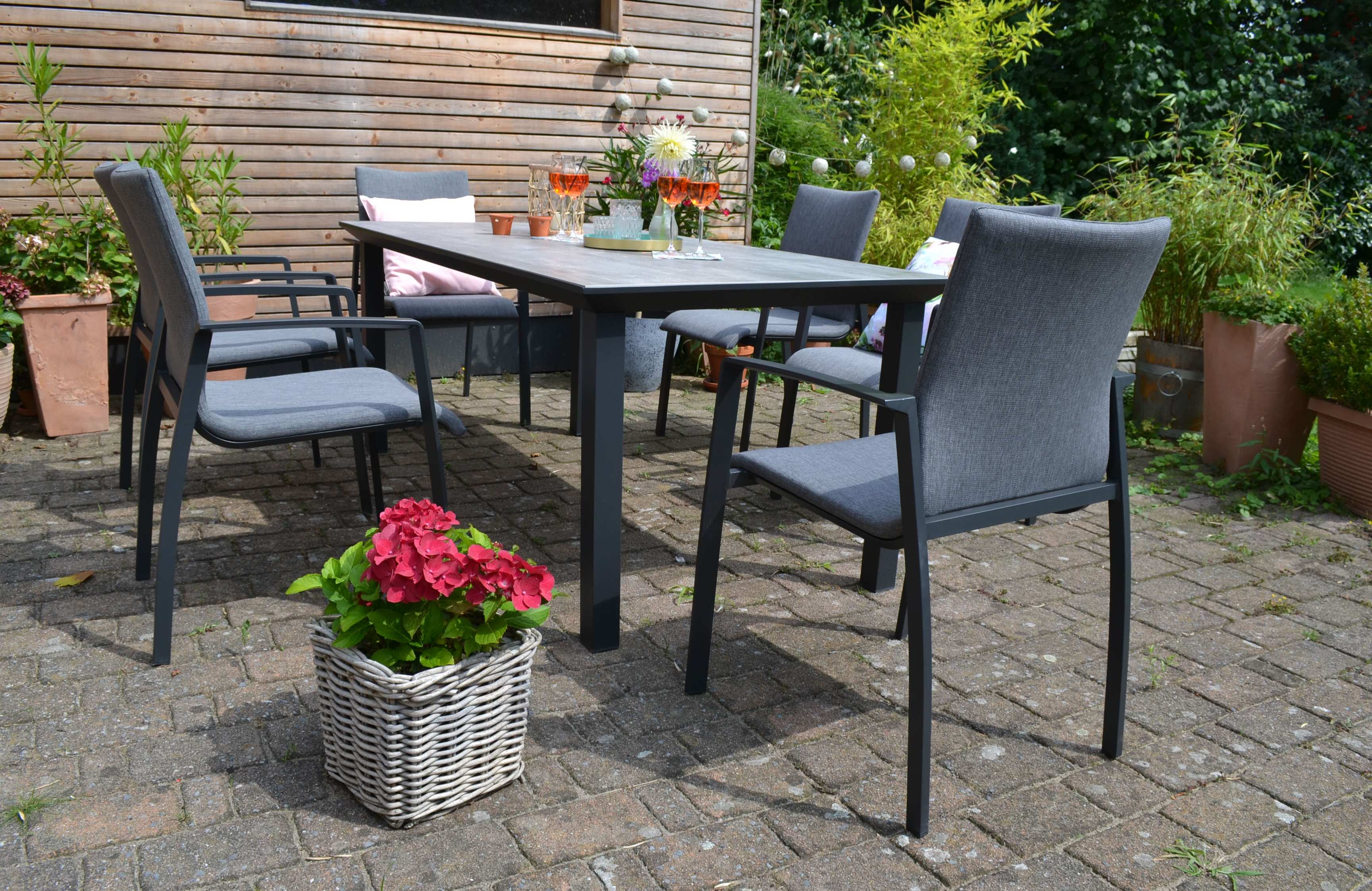 DSC_0310nfAOWIm75Tkjs