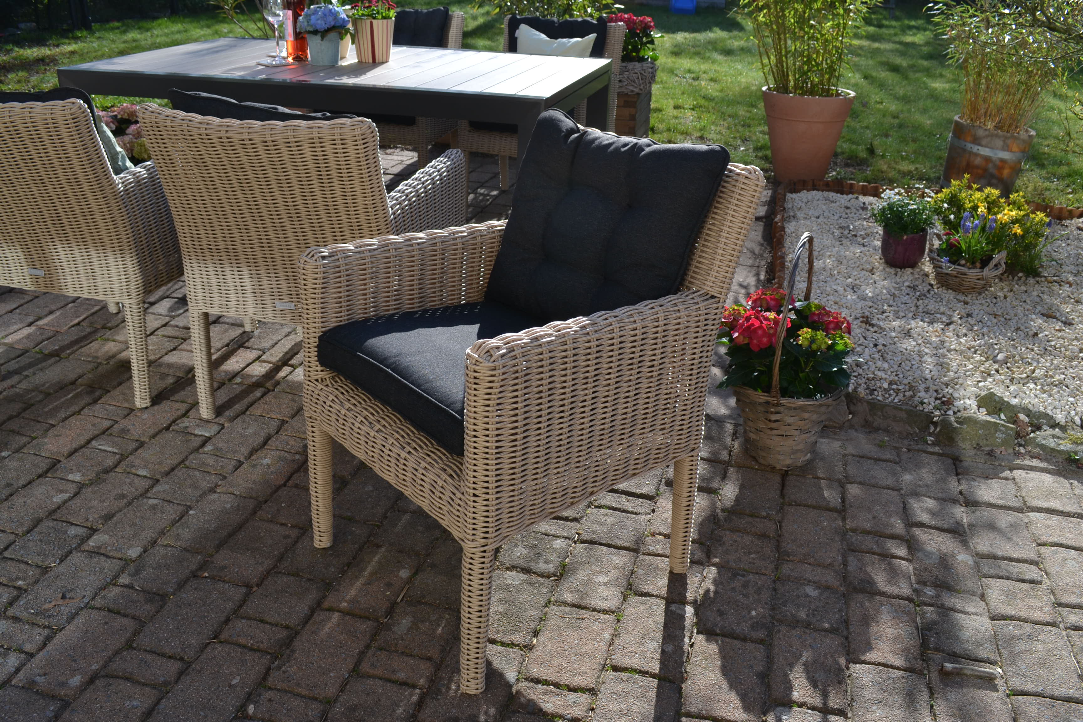 6 x Polyrattan Sessel Bergamo in natürlich sandfarbenen Geflecht und Polstern in anthrazit 