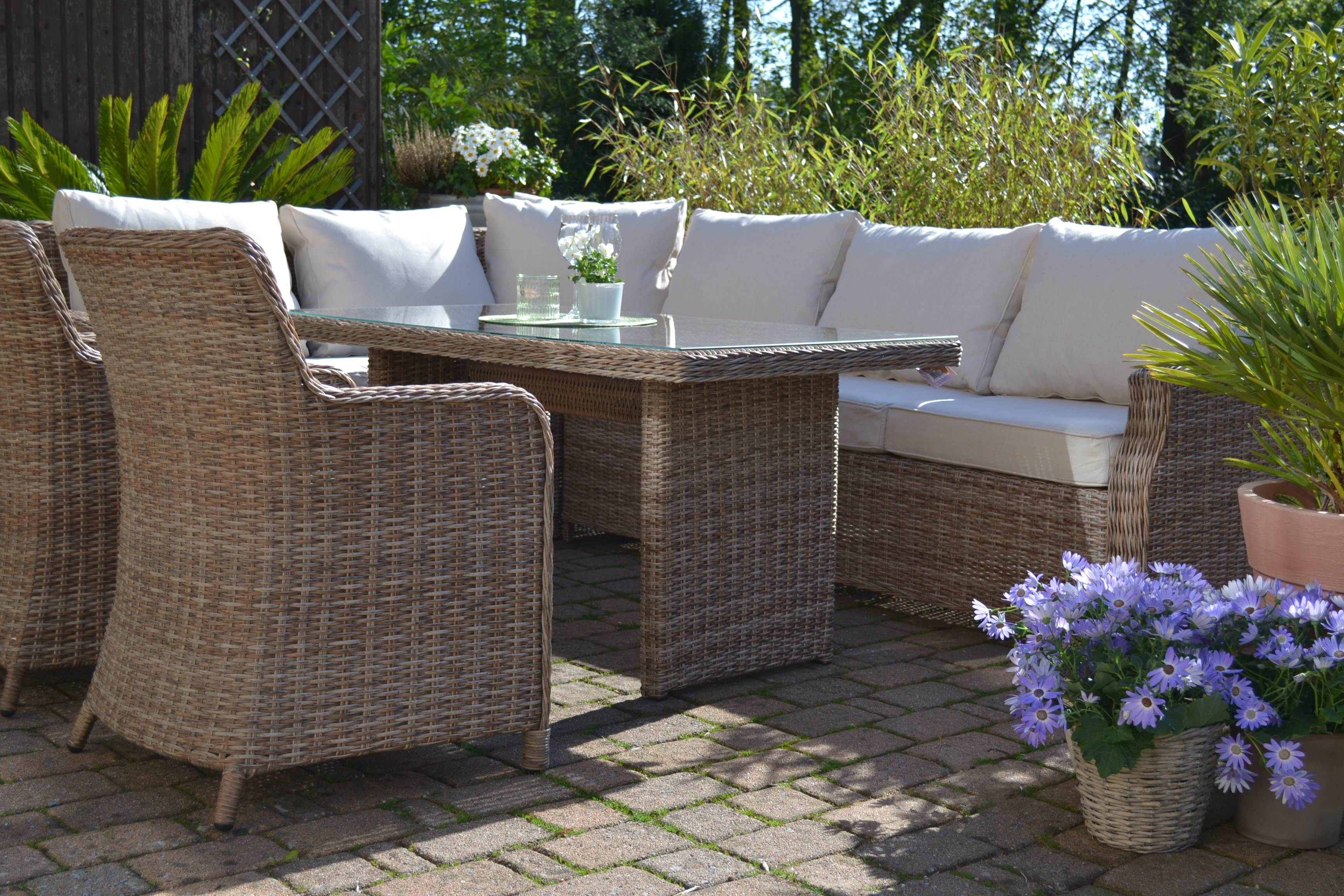 DSC_2084578e4fe37fff5