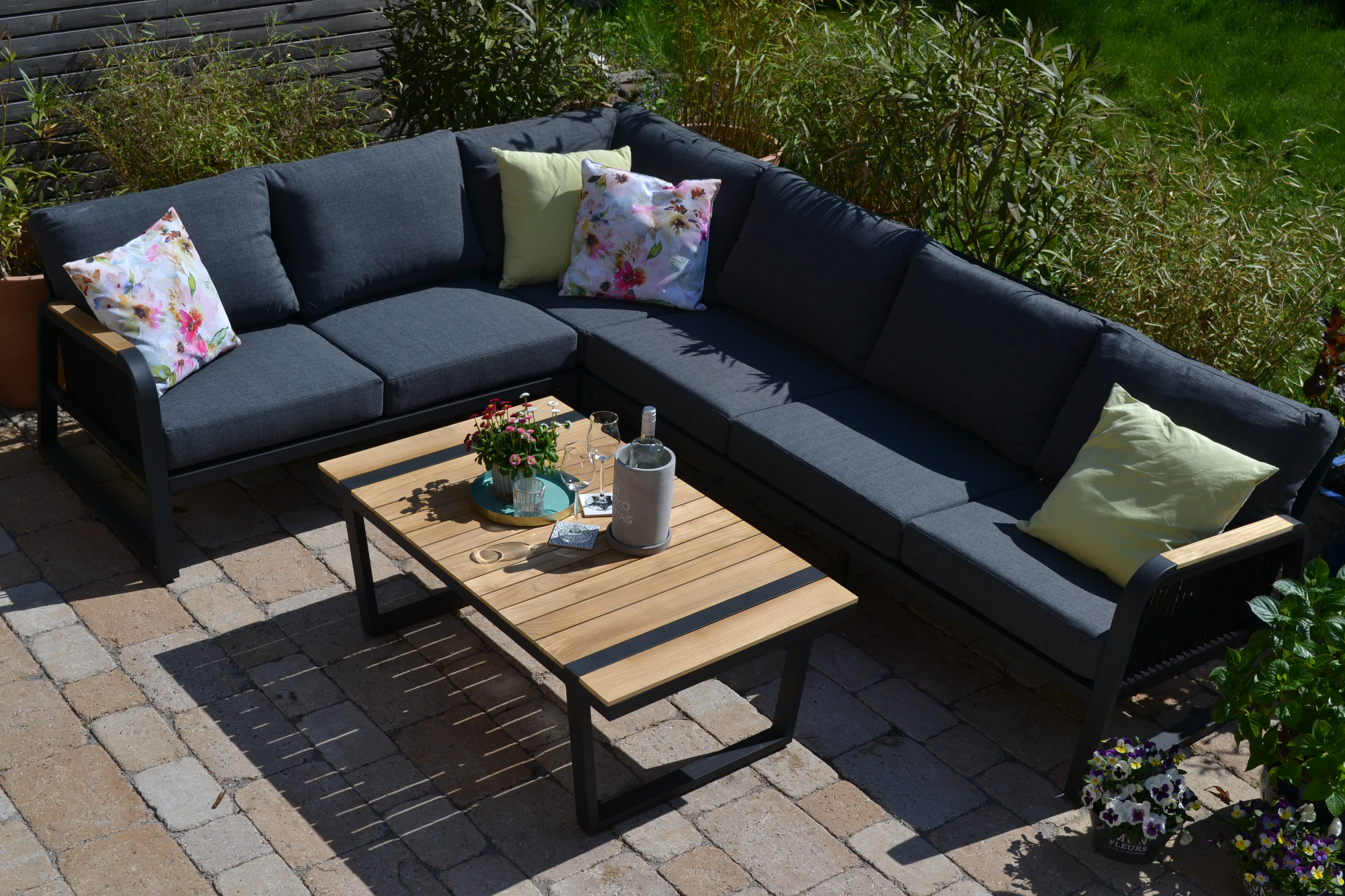 DSC_0291DdgL2BOZ9ENsw