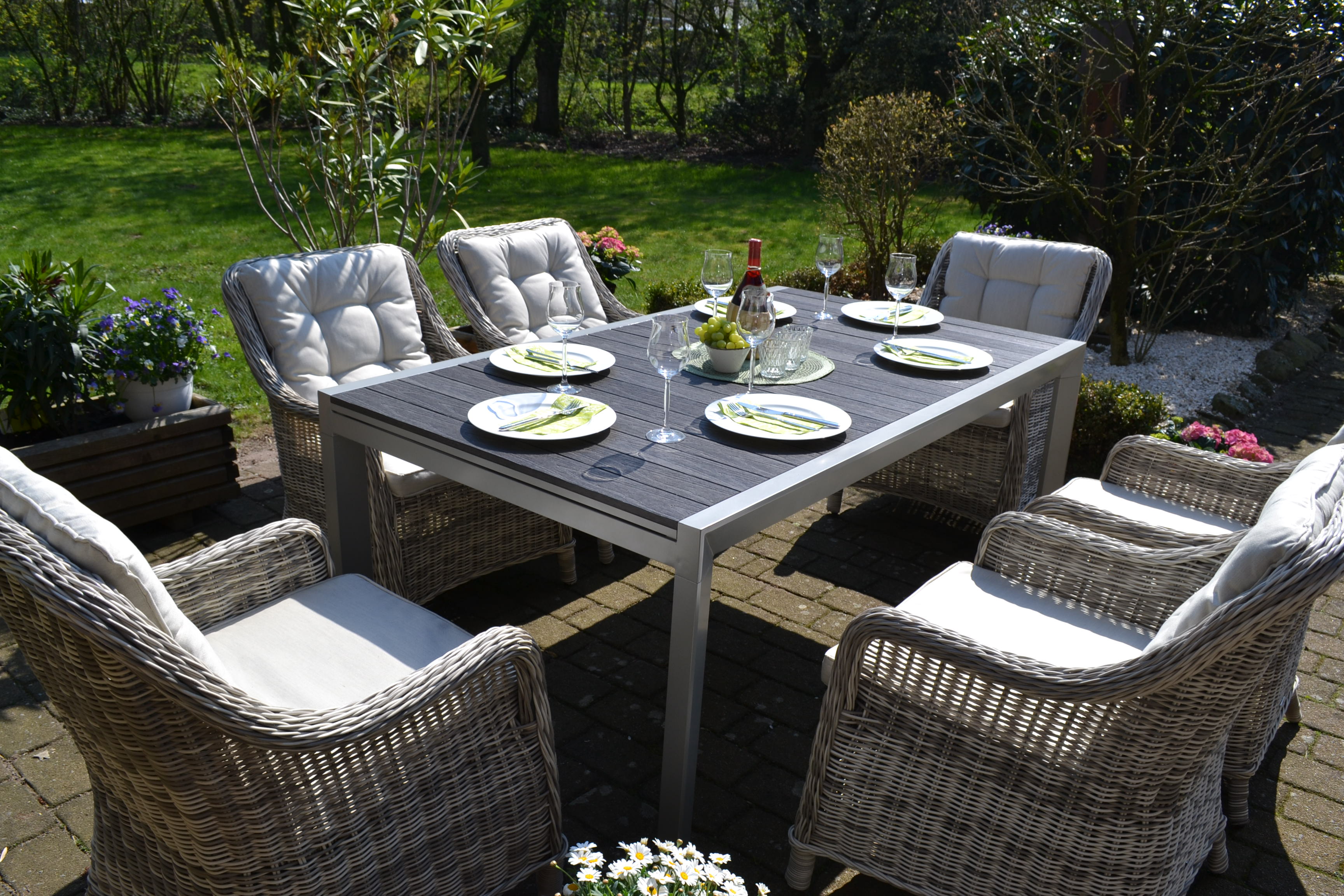 Essgruppe Neapel - Tisch verlängerbar 170/255x100cm + 6 Sessel grau Polster beige (15705)