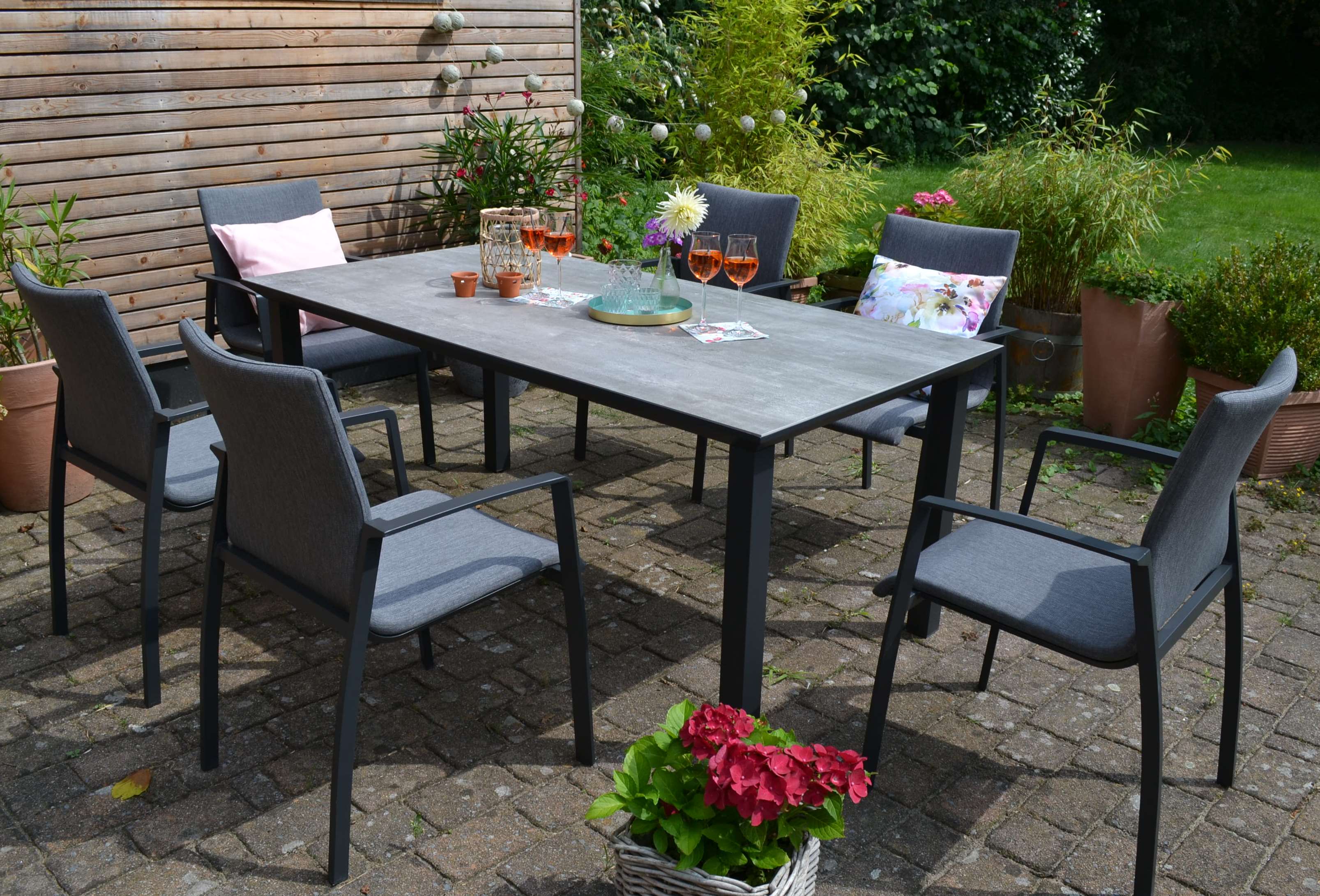 DSC_0308ozm8SXR6u9Gys