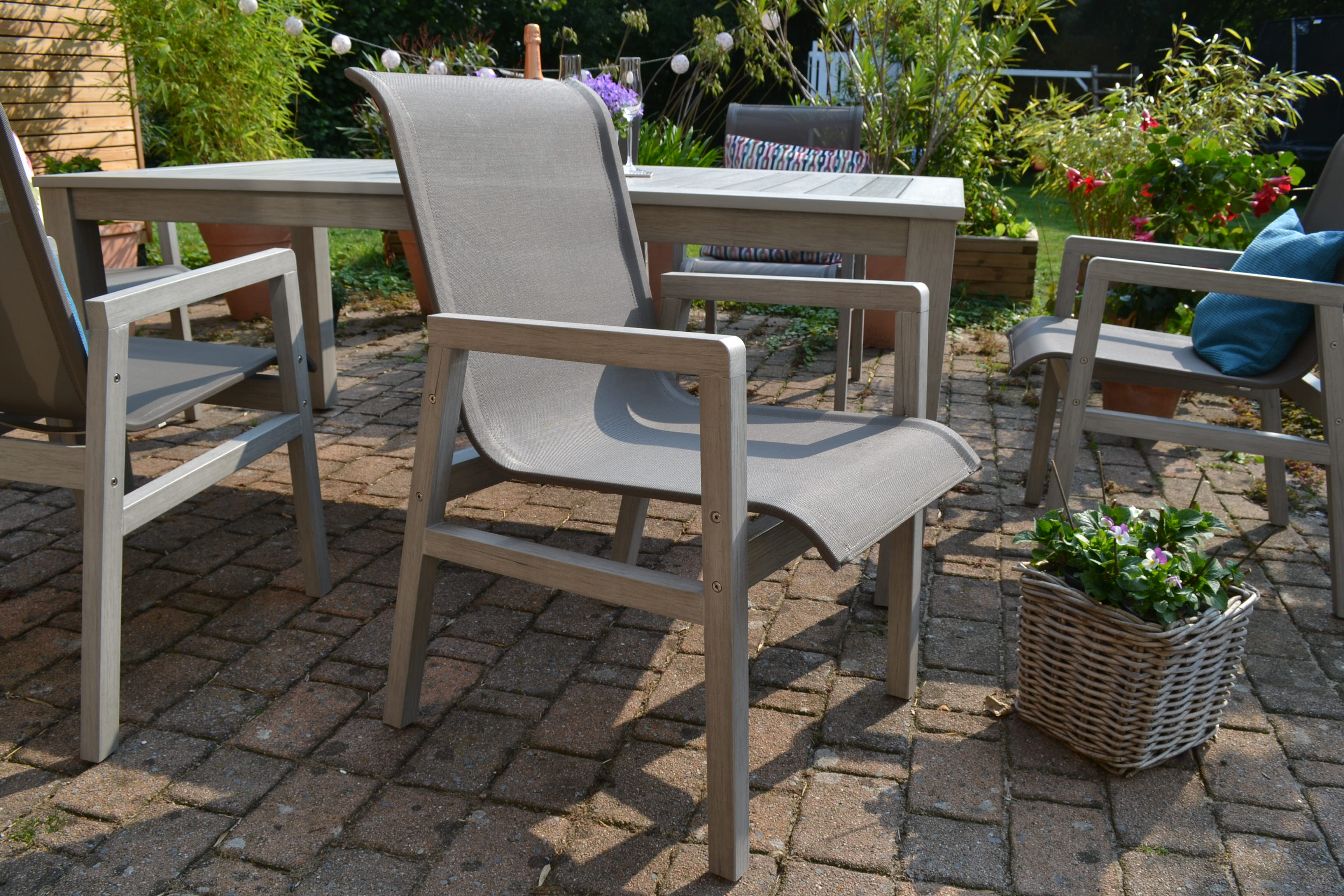 DSC_0436bUe1HecQBxqN1