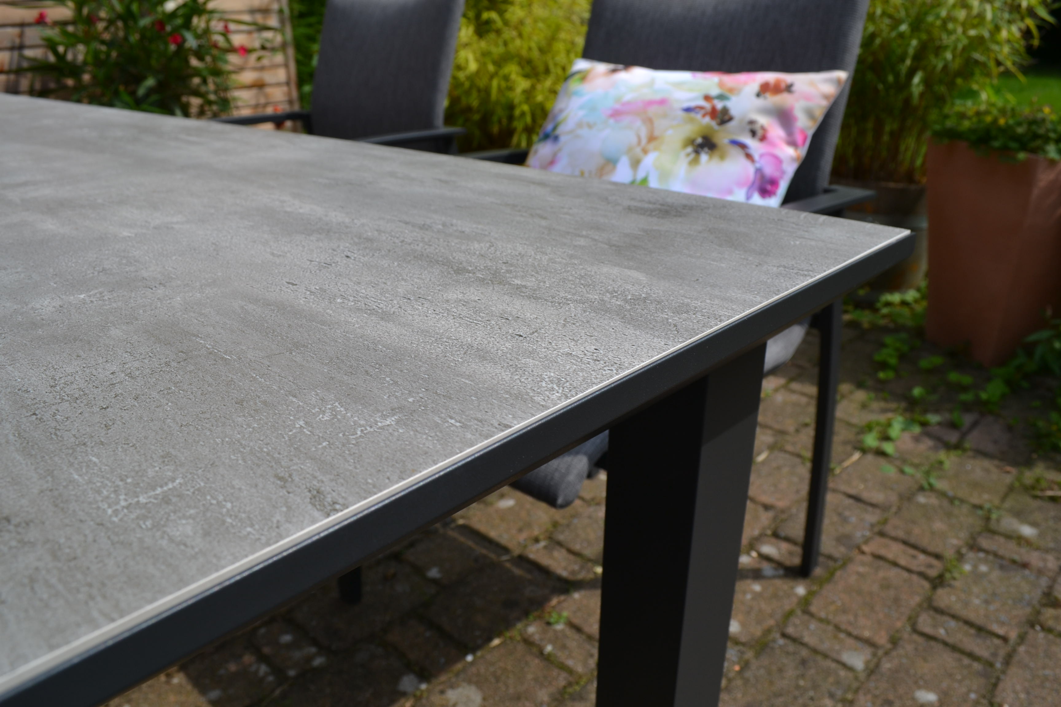 DSC_0313ZasxcAnvrGNrl