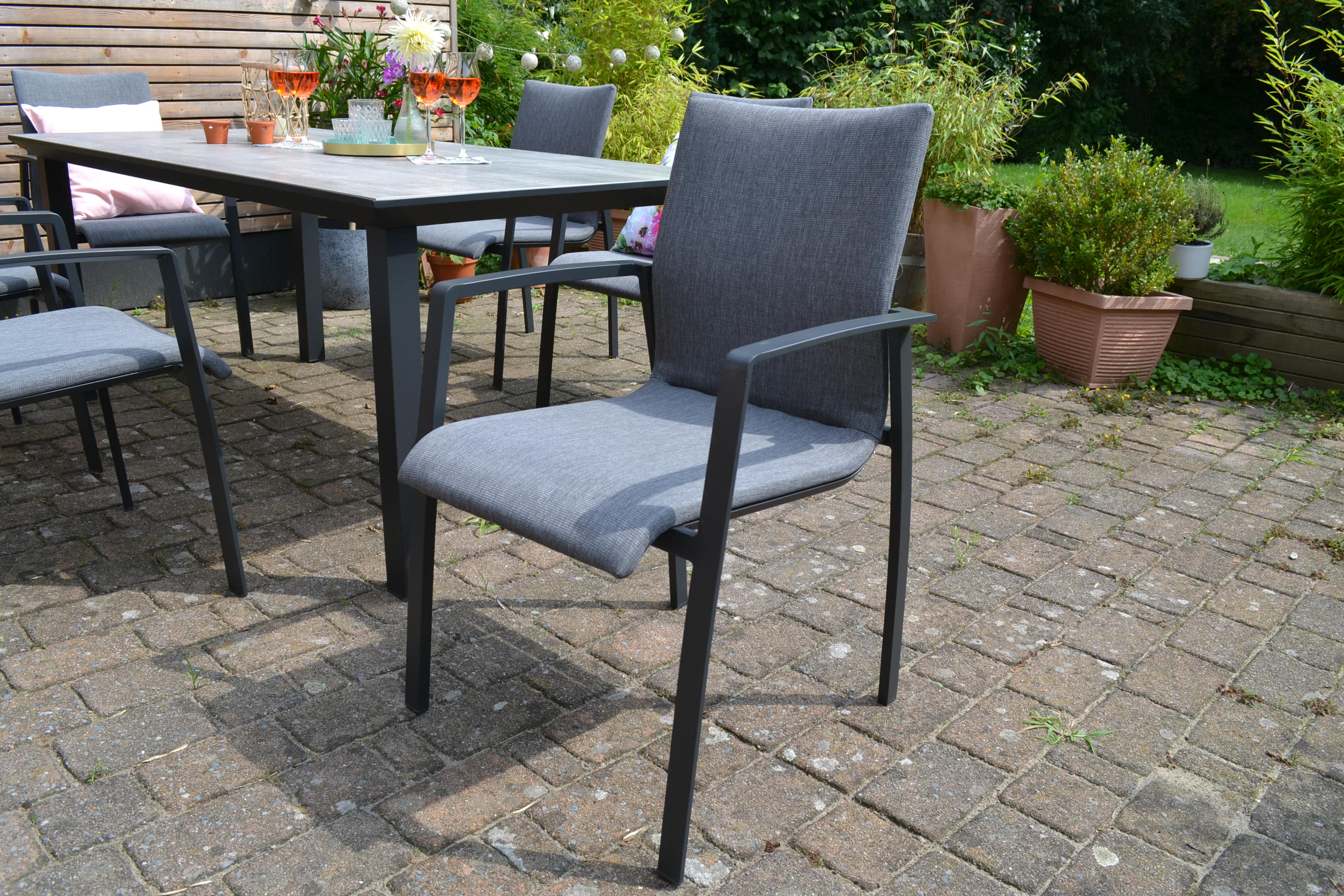 DSC_0337OmRemVxLtOjfc