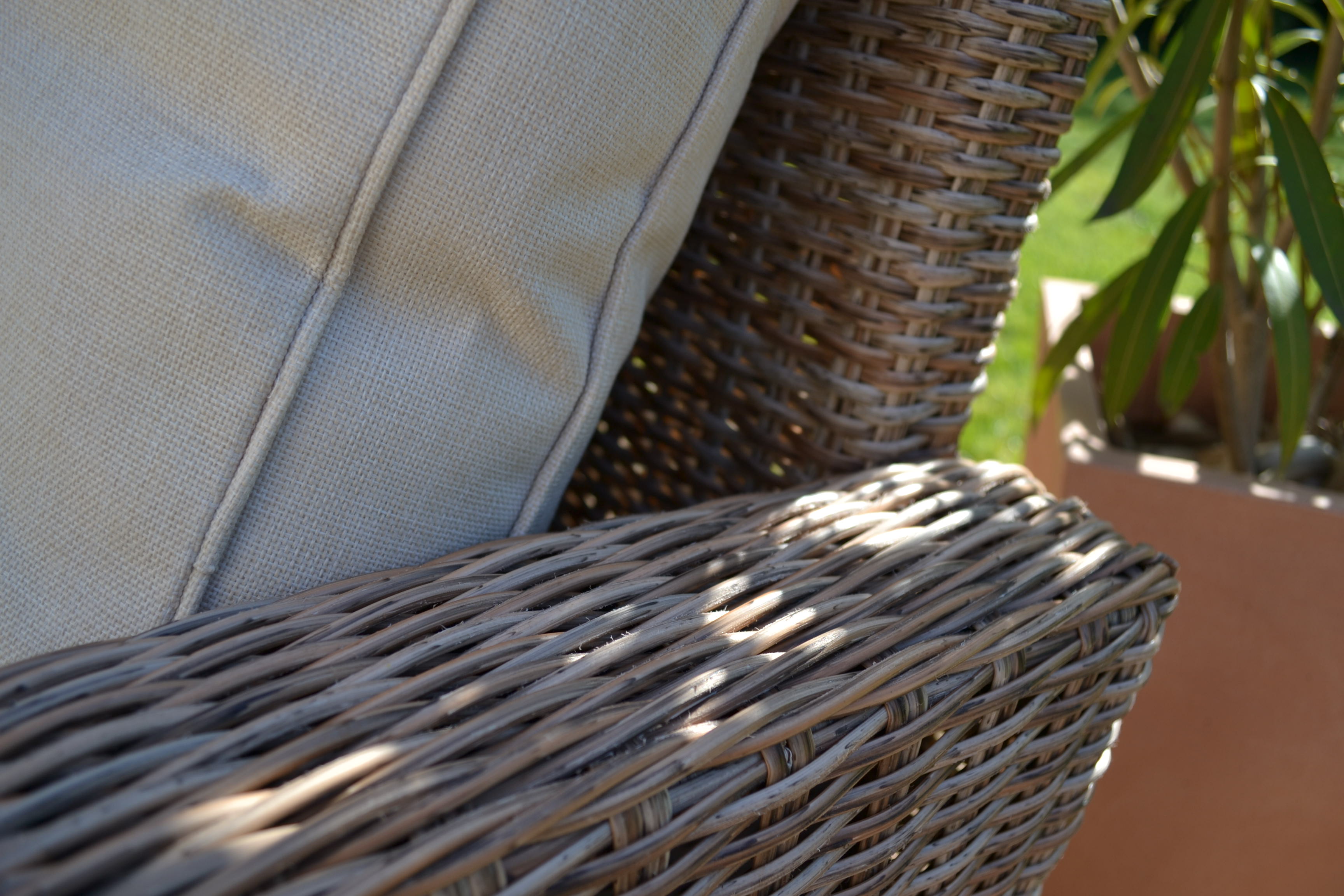 DSC_2090578e501931fe0