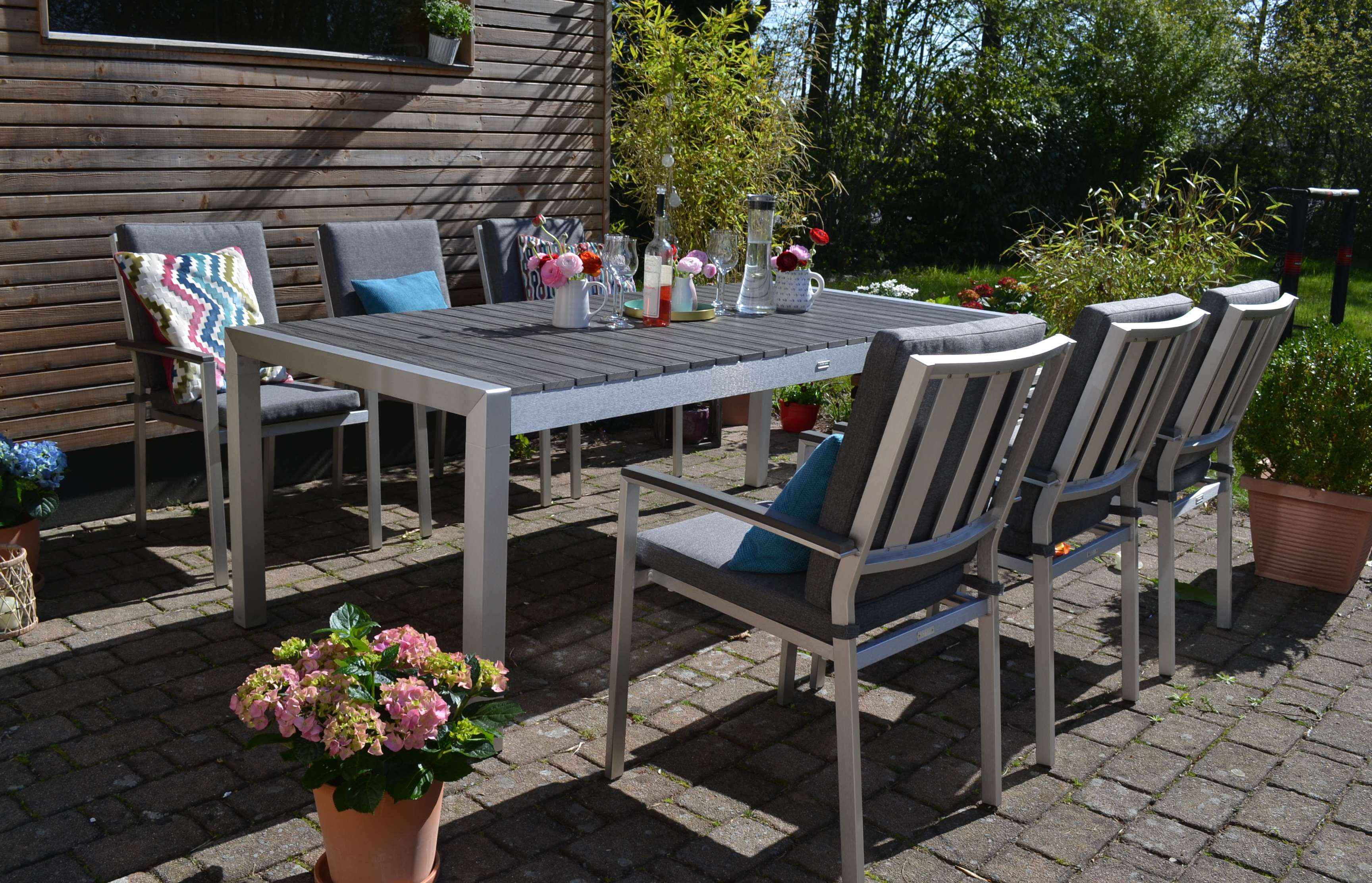 DSC_0993YyQz9Qoo9aFNY