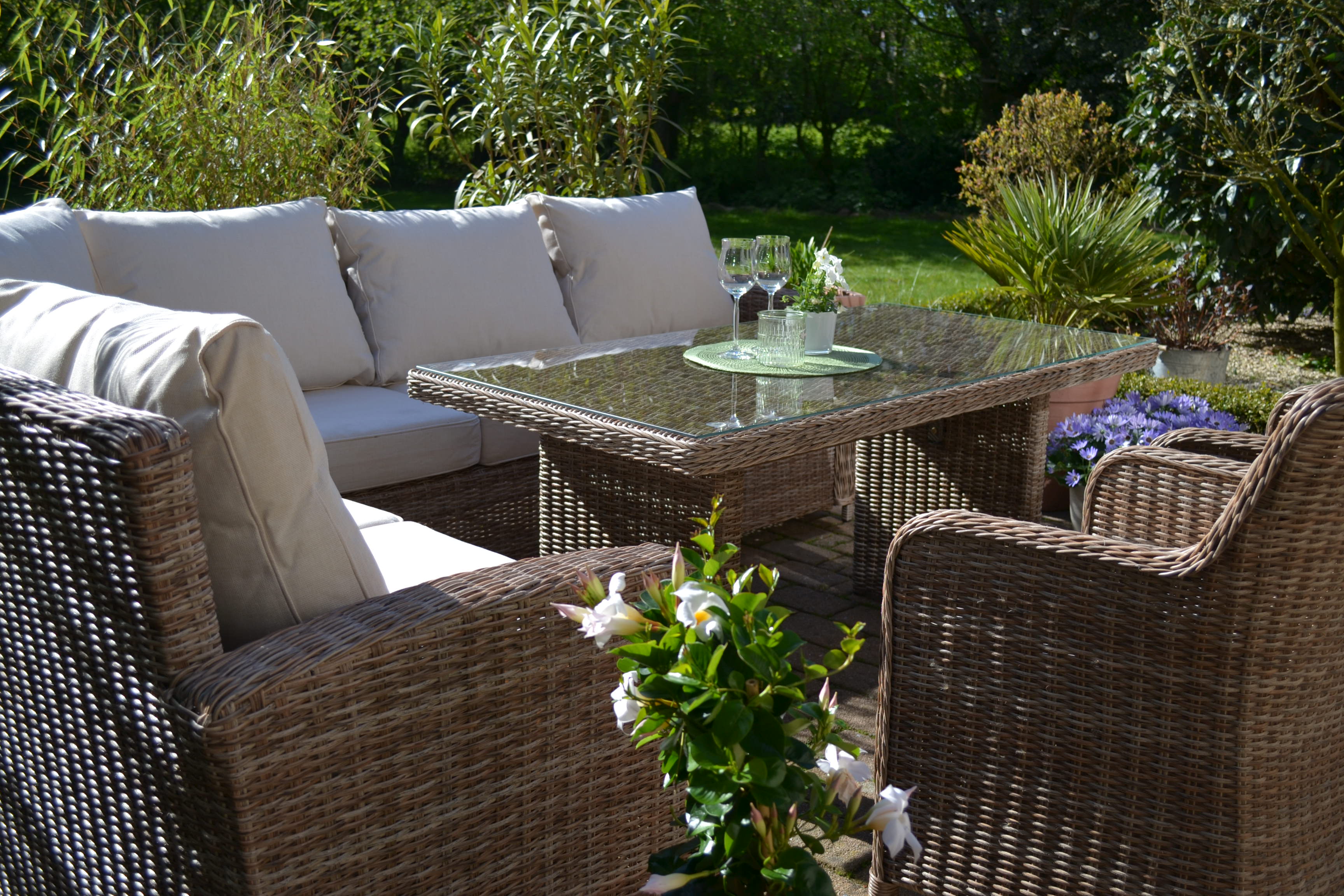 DSC_2087578e4ffc262a9